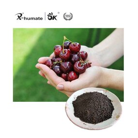 Potassium Fulvate Granular - 50% Fulvic Acid Organic Agriculture Fertilizer