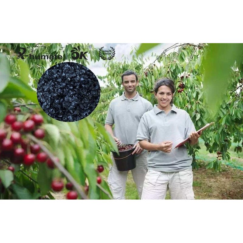 Humic Acid Flake - X-humate 100% Soluble Leonardita Foliar Spray Organic