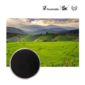 Humic Acid Powder - 50% Lignite Source Organic Fertilizer