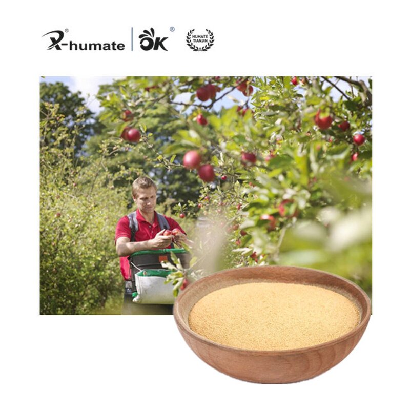 Amino Acid Powder - X-Humate 50% Fast Effect Organic Fertilizer for Plants