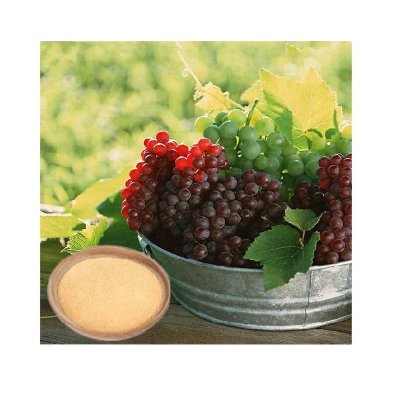 Amino Acid Fertilizer - 80% Plant Origin Bio Organic Growth Stimulator