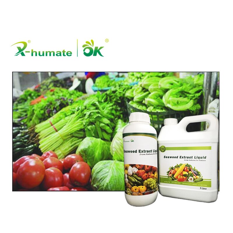 Seaweed Extract Liquid - Bulk Formulation Agriculture Used Organic Fertilizer