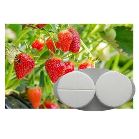 Gibberellic Acid GA3 - CAS 77-06-5 10% 20% TB Tablet Plant Regulator