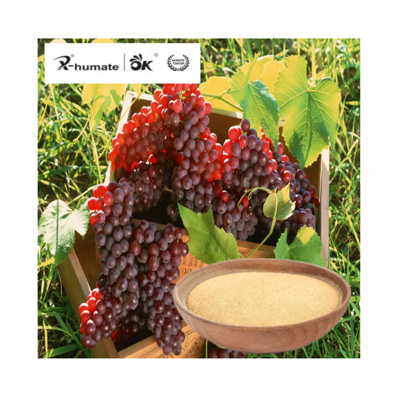 Compound Amino Acid Powder - Organic Nitrogen Fertilizer Agriculture Grade