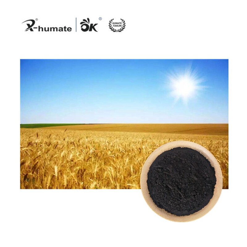 Humic Acid Powder - Leonardite Source 40% 50% 60% 70% Agriculture Grade