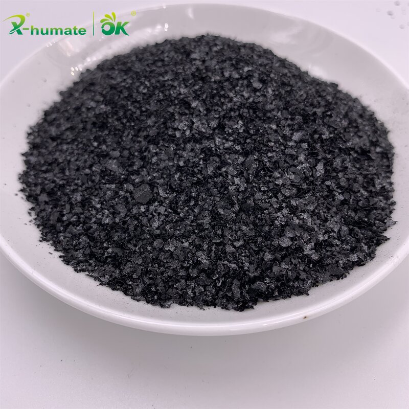 Humic Acid Fertilizer - 60% Potassium Humate Flake Powder Granular