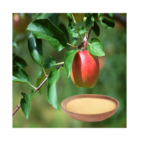 Compound Amino Acid Fertilizer - 80% Water-Soluble Organic Agricultural Grade