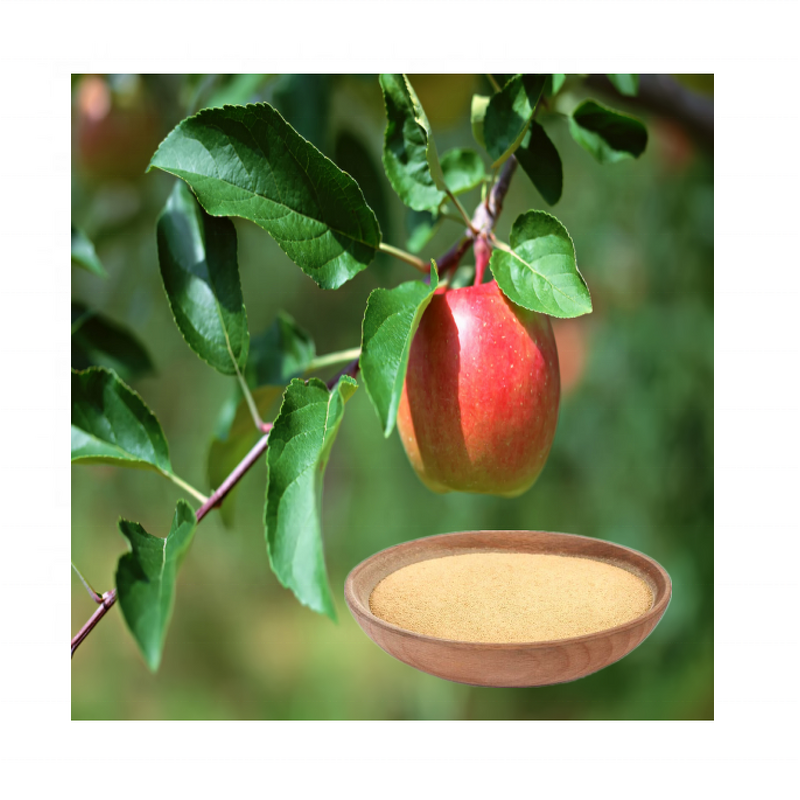 Compound Amino Acid Fertilizer - 80% Water-Soluble Organic Agricultural Grade