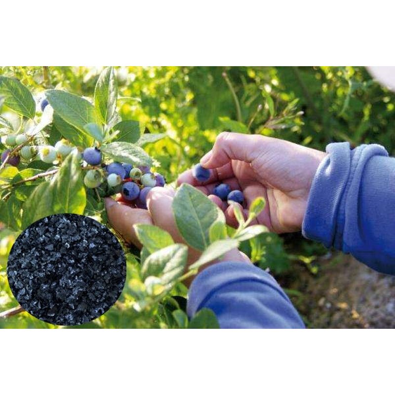 Humic Acid Flake - X-humate 100% Soluble Leonardita Foliar Spray Organic