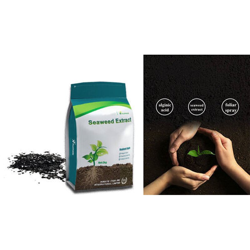 Seaweed Extract Powder - 100% Water Soluble Alginic Acid Organic Fertilizer