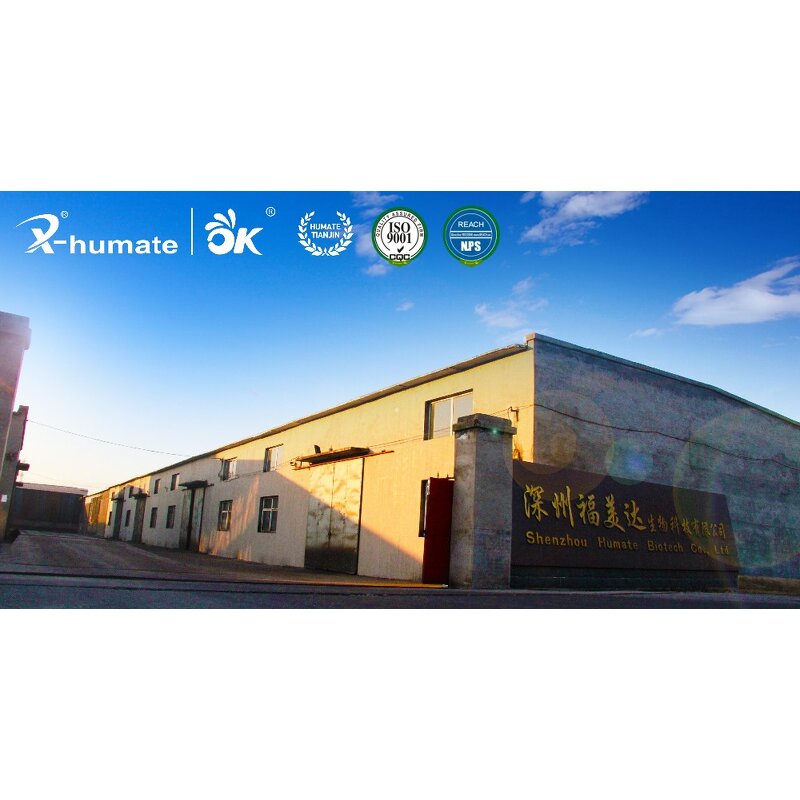 Humic Acid Powder - Leonardite Natural 60% Acido Humico Organic Fertilizer