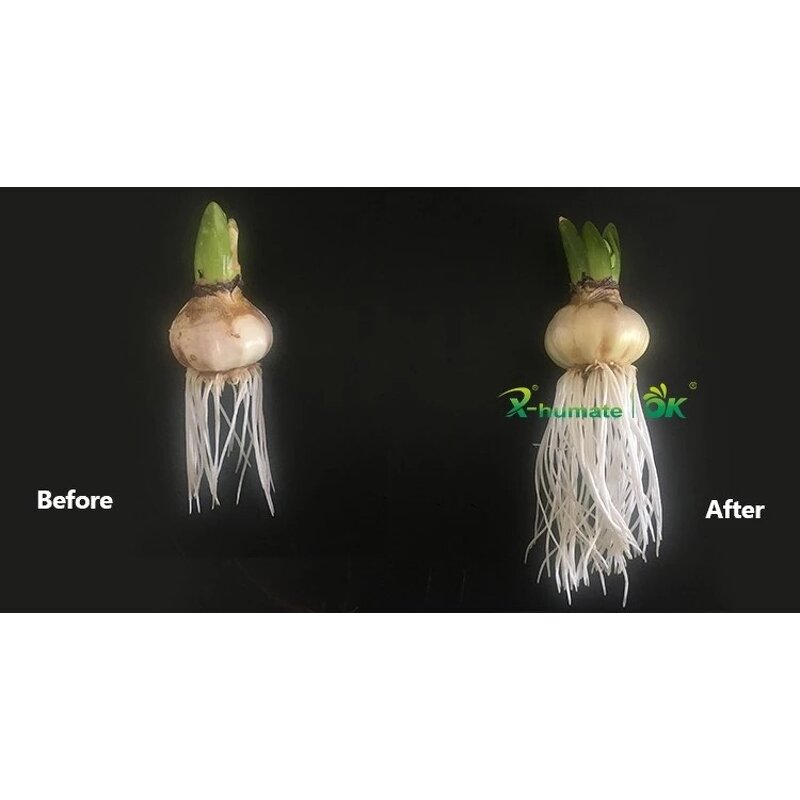 Gibberellic Acid GA3 - X-humate 90% High Quality Plant Growth Regulator