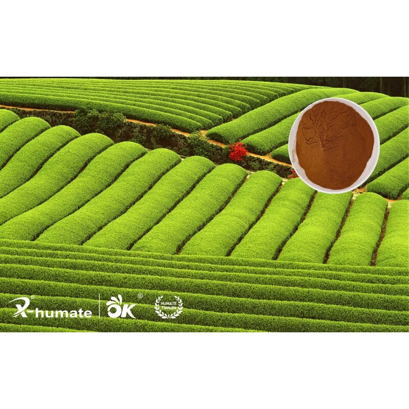 Fulvic Acid Powder - 100% Water Soluble Hydroponics Natural Organic Fertilizer