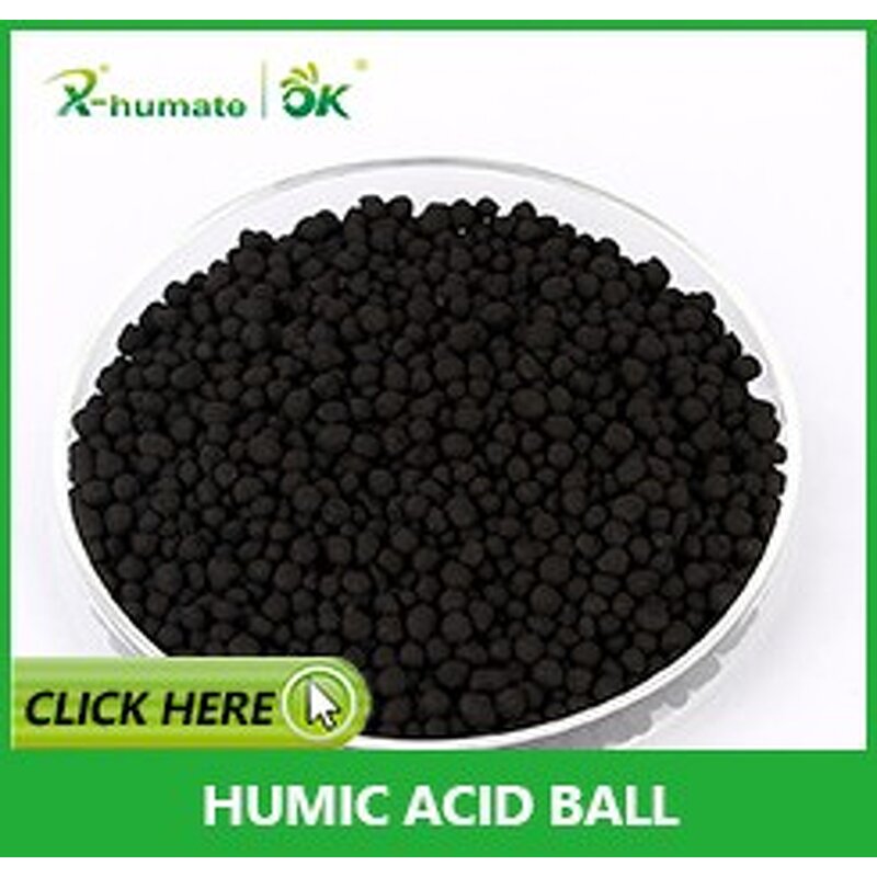Humic Acid Pearl - X-humate High Quality Organic Fertilizer Matter