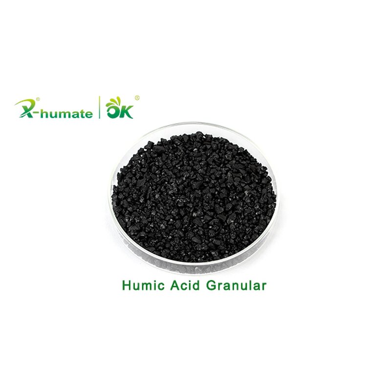 Humic Acid Pearl - X-humate High Quality Organic Fertilizer Matter