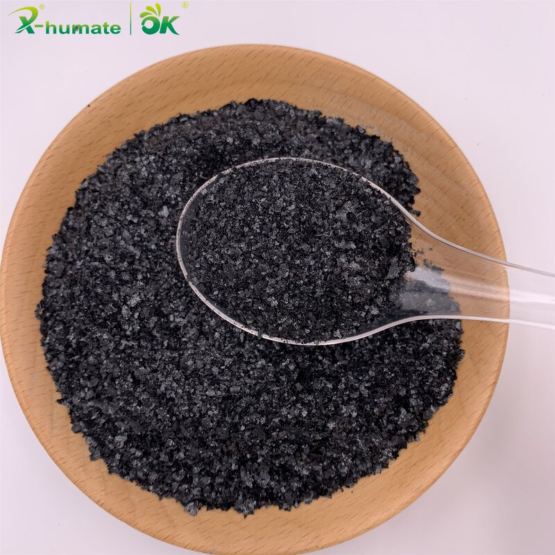 Seaweed Extract Fertilizer - 100% Ascophyllum Nodosum Algae Essence Organic