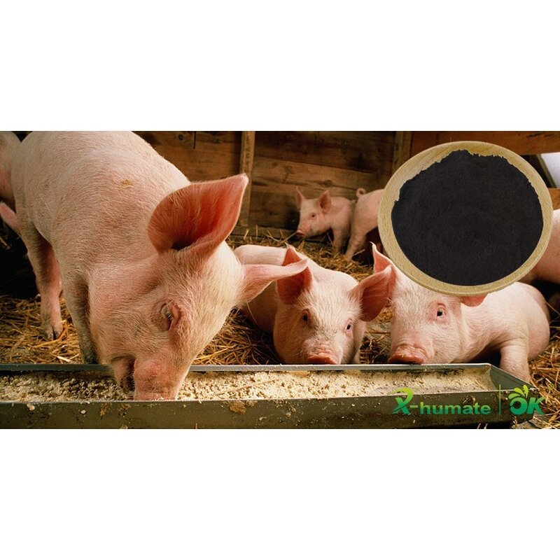 Sodium Humate Powder - X-humate China Manufacturer High Quality Humic Acid