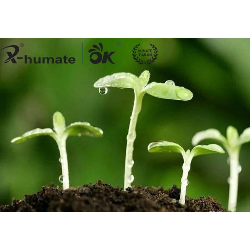 Humic Acid Powder - Leonardite Natural 60% Acido Humico Organic Fertilizer