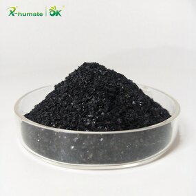 Seaweed Extract Fertilizer - 100% Ascophyllum Nodosum Algae Essence Organic