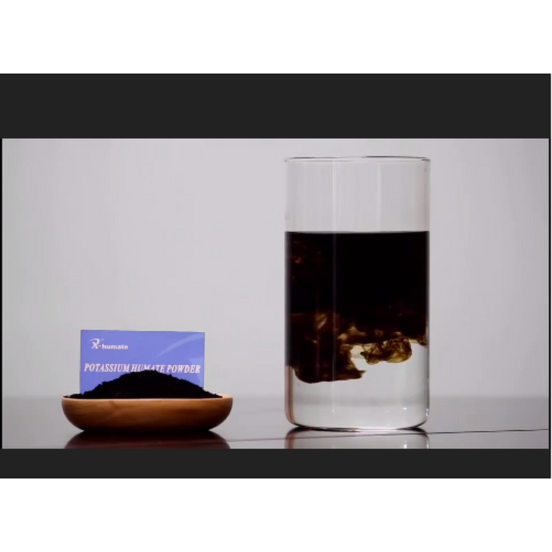 Potassium Humate Powder - X-humate Low Price Multi-functional Compound Fertilizer