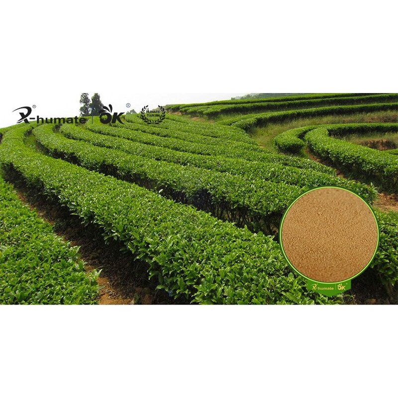 Amino Acid Powder - Natural Wholesale Animal Origin Organic Agriculture