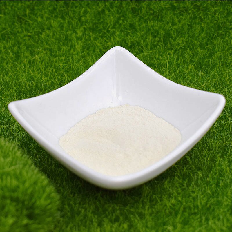 Mushroom Chitosan Powder - Shellight Organic Intermediate Low-Priced China Supply