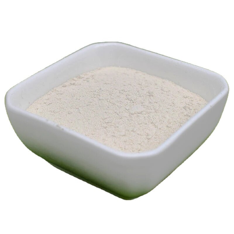 Mushroom Chitosan Powder - Shellight Organic Intermediate Low-Priced China Supply