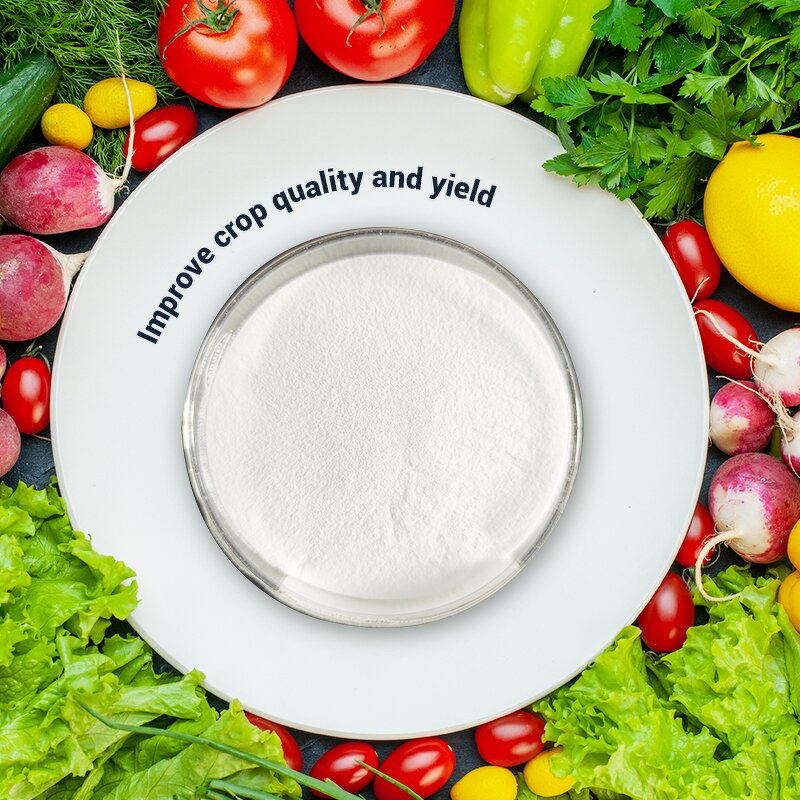 EDTA Mg Powder - Shellight High Quality Organic Salt Industrial White Hot Selling