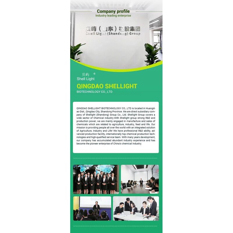 Potassium Humate Flakes - Super Quick Release Organic Fertilizer China Manufacturer