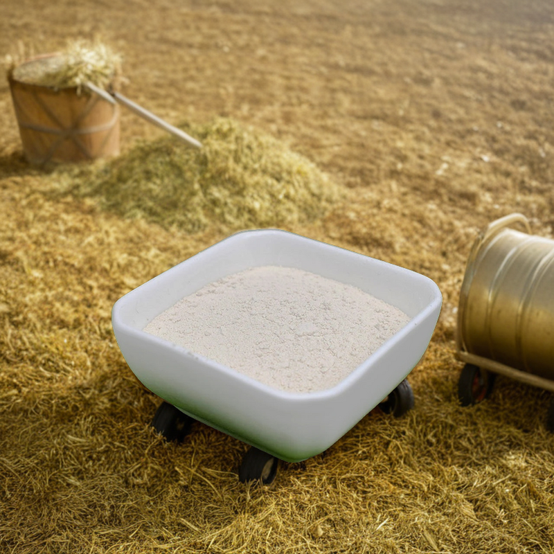 Chitosan Powder - Shellight 90% Pure Water Soluble for Agricultural Application