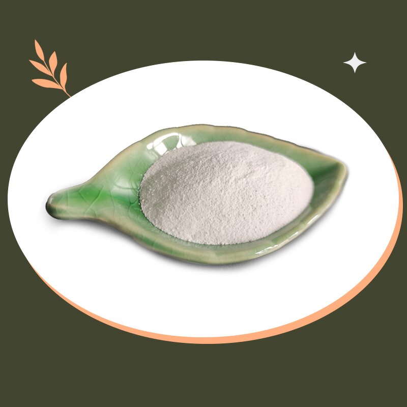 L-Cysteine HCl Monohydrate - Shellight CAS 7048-04-6 Food Additive Nutritional Supplement