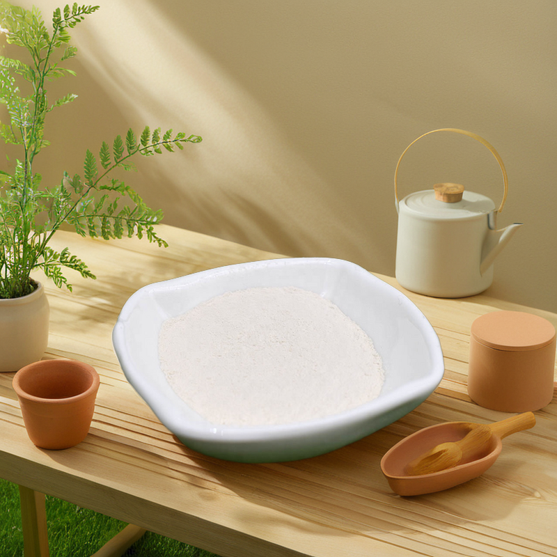 Carboxymethyl Chitin Chitosan - SHELLIGHT Bulk Organic Fertilizer for Agriculture