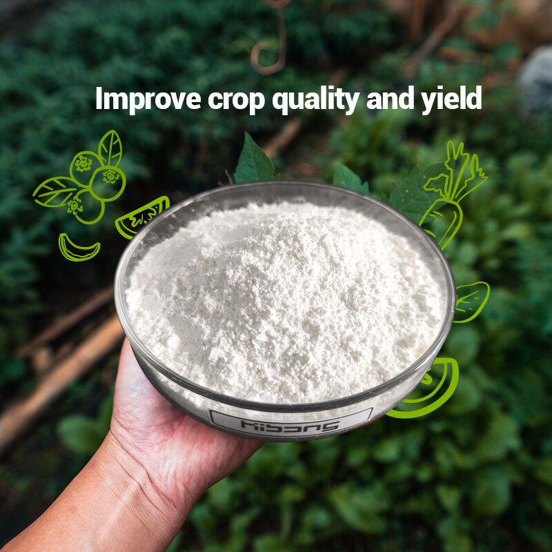 6-Benzylaminopurine BA - Shellight 98% TC PGR Promotes Plant Germination