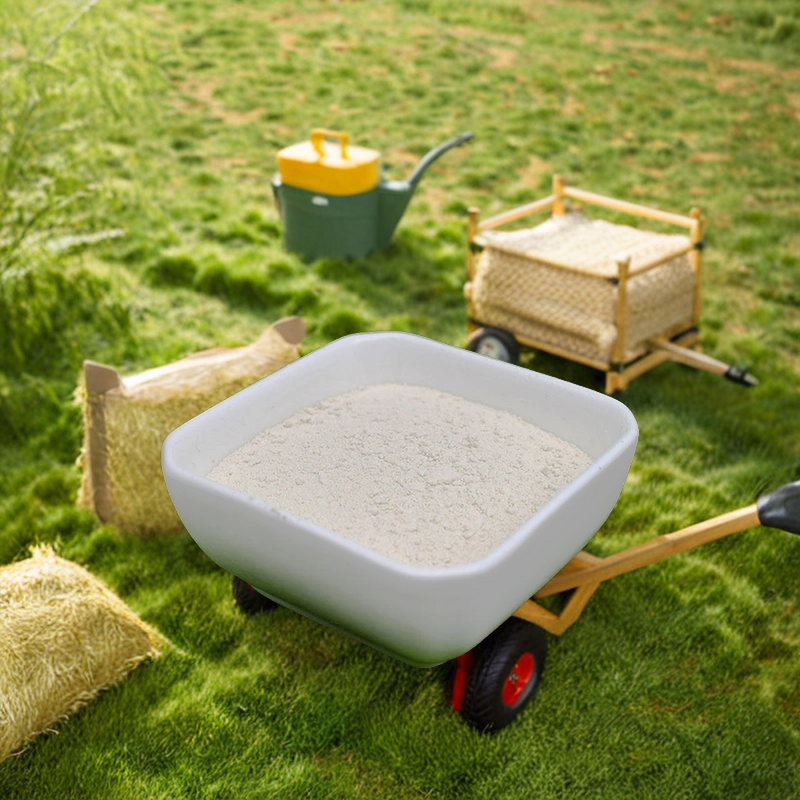 Carboxymethyl Chitin Chitosan - SHELLIGHT Bulk Organic Fertilizer for Agriculture