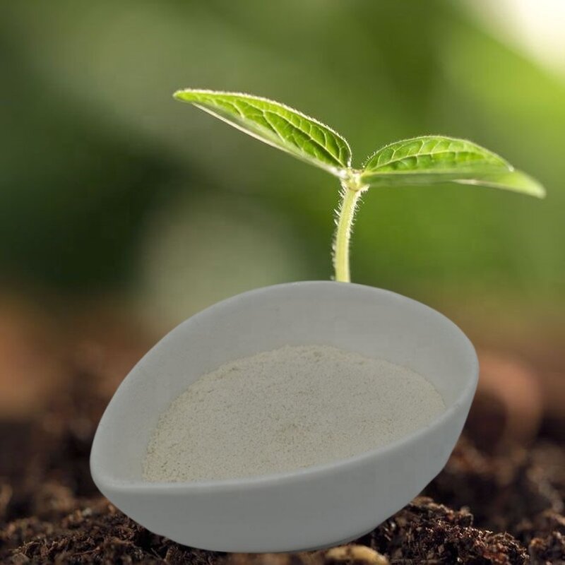 Chitosan Hydrochloride HCl - Shellight Organic Quick Release Agriculture White Powder