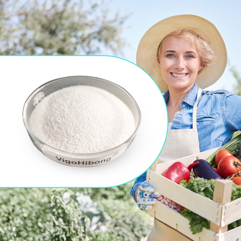 EDTA Mg Powder - Shellight High Quality Organic Salt Industrial White Hot Selling