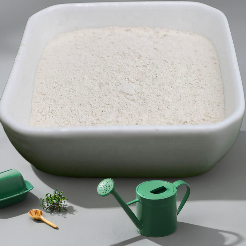 Carboxymethyl Chitin Chitosan - SHELLIGHT Bulk Organic Fertilizer for Agriculture