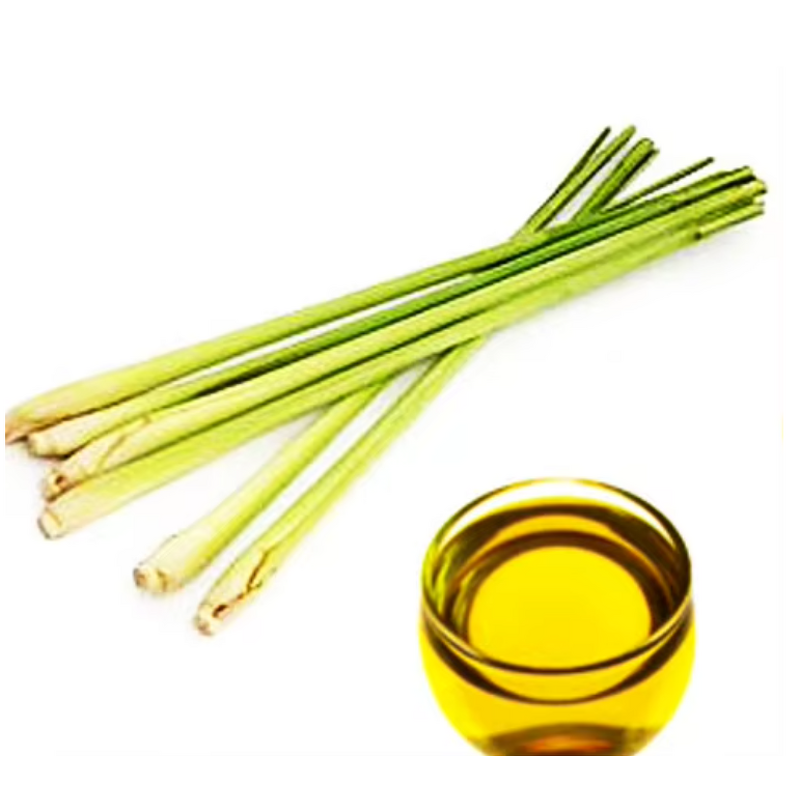 Citronella Oil - Nature Pure Liquid High Quality Essential Oil