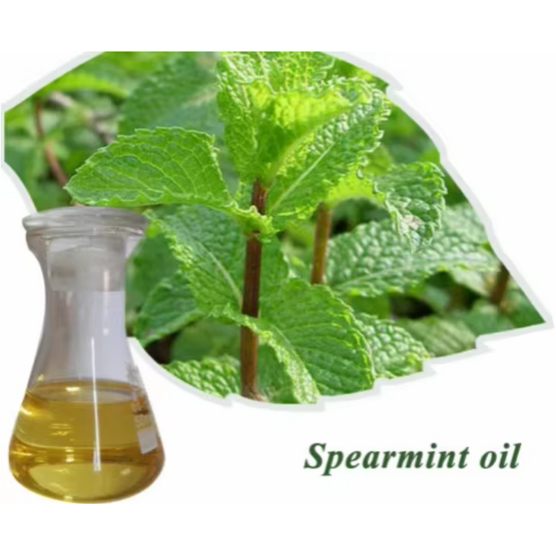 Spearmint Oil - 50-80% Min High Quality Essential Oil