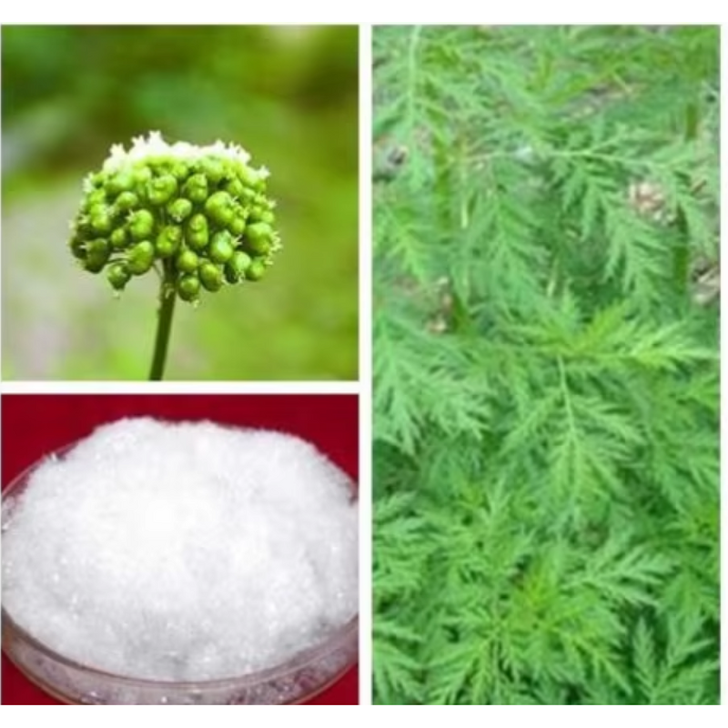 Artemisinin Powder - 99% Purity Pharmaceutical Grade Extract