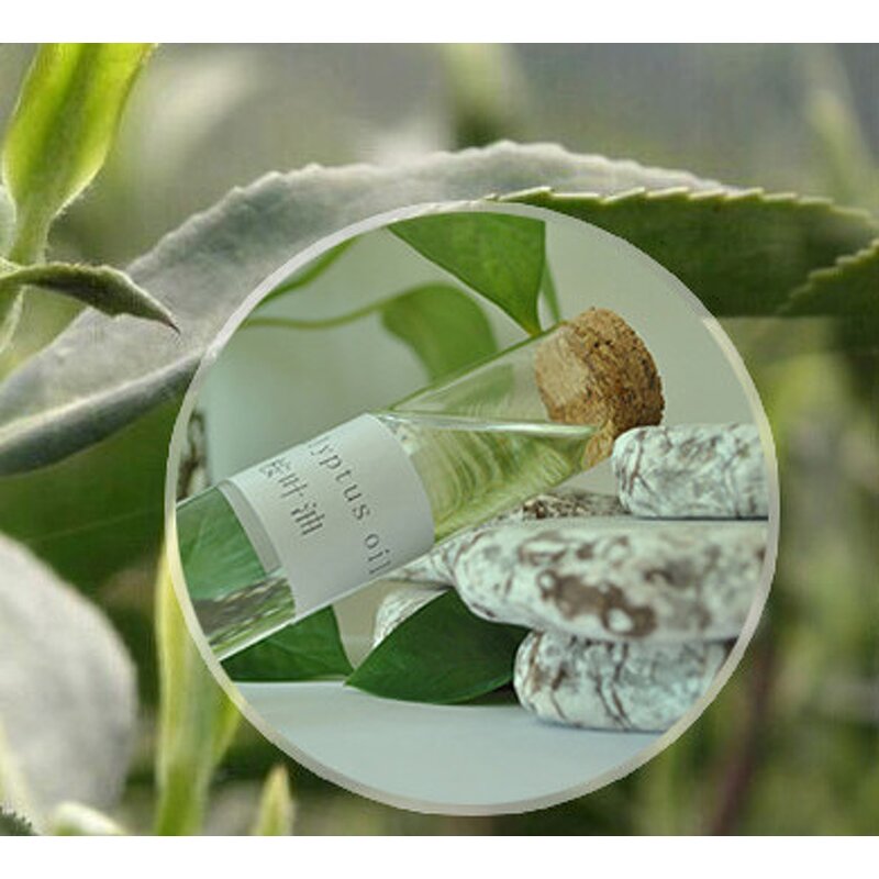 Eucalyptus Oil - Pure Nature 70% 80% Purity Essential Oil
