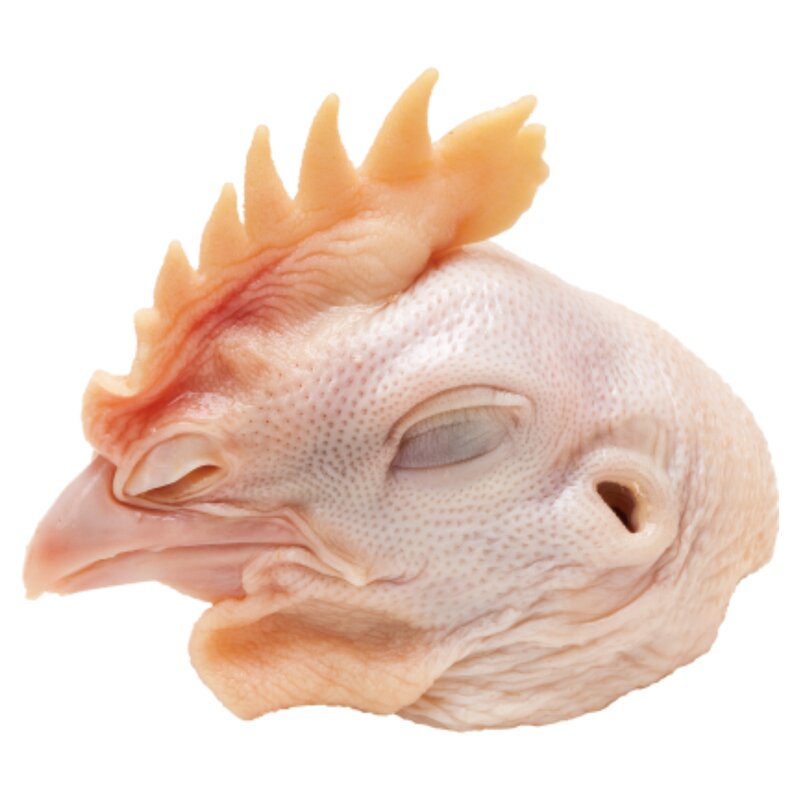 Chicken Head Manufacturer - Bulk Supply All Natural Halal Certified Well Cleaned Quick Frozen Processed for Export