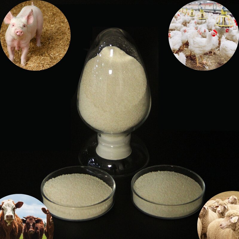 L-Lysine Sulphate Manufacturer - 70% Animal Feed Additives