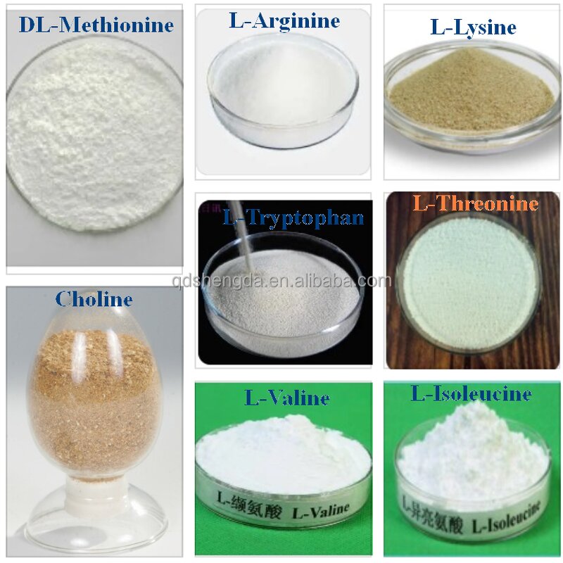 Adenosine Powder Manufacturer - Wholesale Food Grade Supplement Nutrition S-Adenosyl-L-Methionine