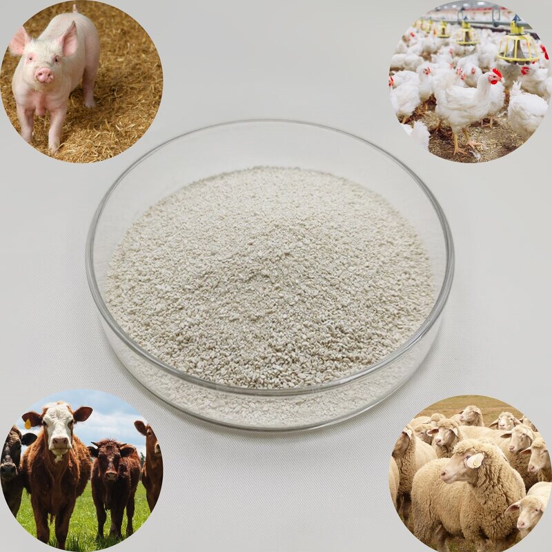 L-Lysine Monohydrochloride Manufacturer - B2B Supplier for Poultry Feed Mills Uniform Particle Size 98.5%