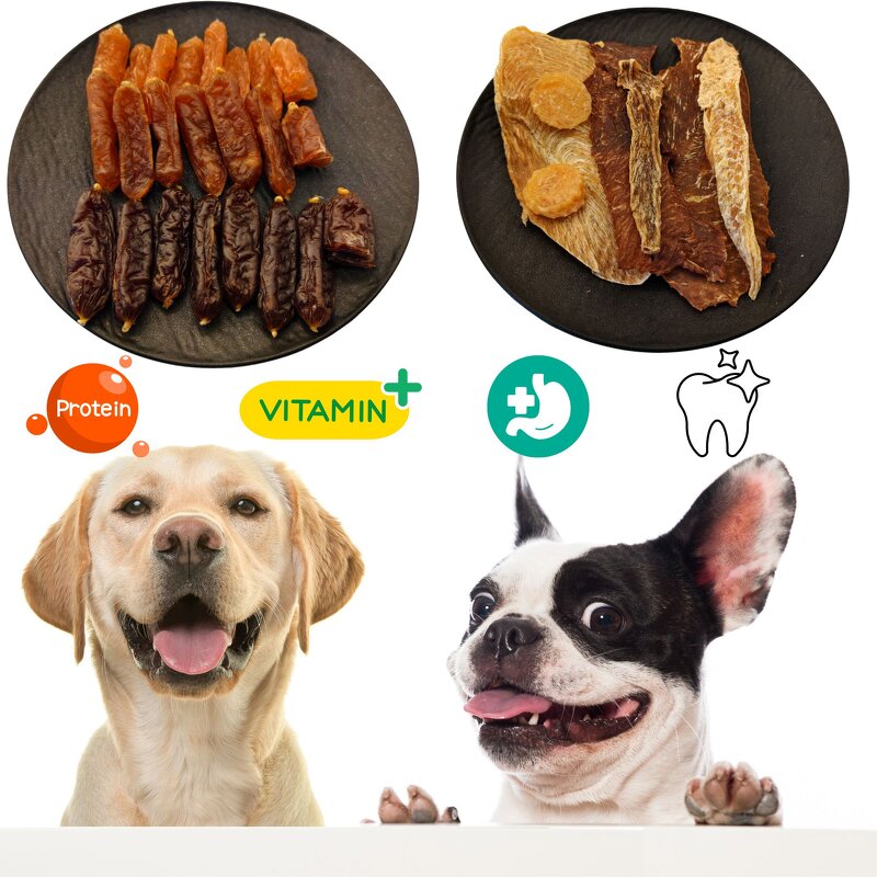 Chicken Sausage Dog Snack Manufacturer - Wholesale Crystal Dried Protein Rich for Feeding Control Lean Body