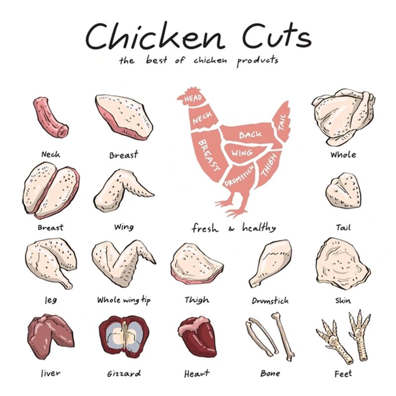 Chicken Breast Cat Snack Manufacturer - Natural Ingredients Steamed High Protein Amino Acids for Muscle Tone Immunity