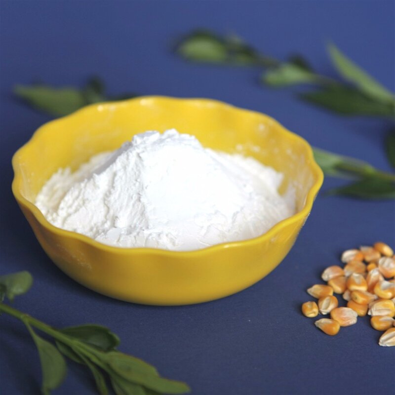 Adenosine Powder Manufacturer - Wholesale Food Grade Supplement Nutrition S-Adenosyl-L-Methionine