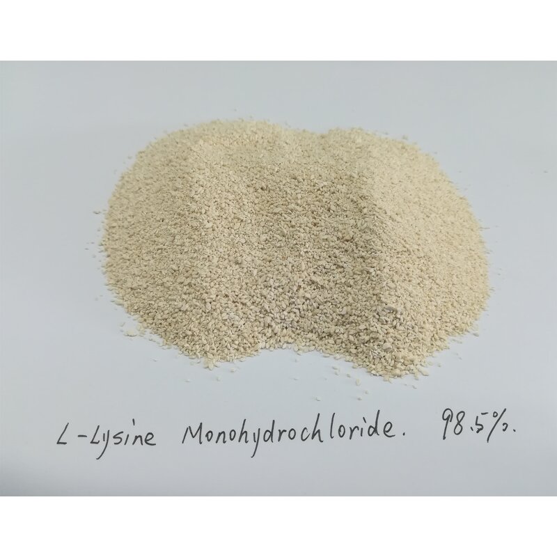 Lysine Monohydrochloride Manufacturer - Factory Price 98.5% Feed Additive for Poultry/Swine