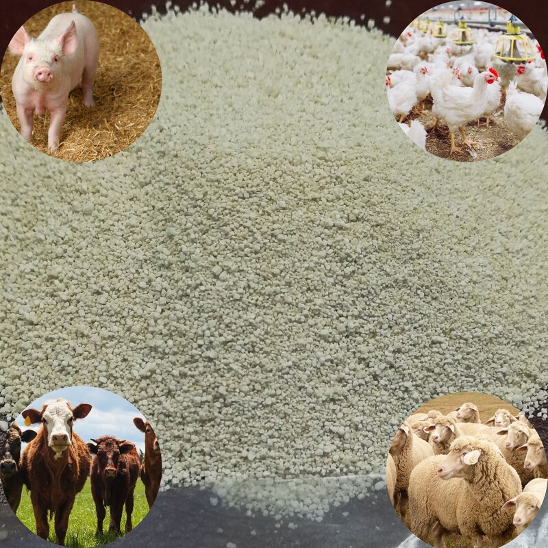 L-Lysine HCL Manufacturer - 98.5% for Fattening Pigs